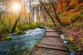 Fantastic tourist pathway in colorful autumn forest, Plitvice lakes, Croatia Royalty Free Stock Photo