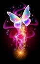 Fantastic butterfly and magical curving transparent waves with glowing stars on night dark background