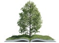 Fantastic tree on open book with green grass field isolated on white background Royalty Free Stock Photo