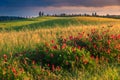 Fantastic Tuscany landscape at sunset near Pienza, Italy, Europe Royalty Free Stock Photo