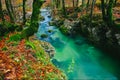 Fantastic view of the canyon Mostnica (Mostnice Korita)