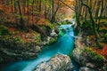 Fantastic view of the canyon Mostnica (Mostnice Korita) Royalty Free Stock Photo