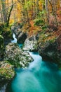 Fantastic view of the canyon Mostnica (Mostnice Korita) Royalty Free Stock Photo