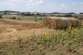 Landscape in Umbria. Royalty Free Stock Photo