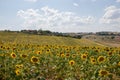 Landscape in Umbria. Royalty Free Stock Photo