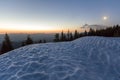 Fantastic view of evening in winter mountains. Dark green tops of pine trees behind snowy hill and first bright star in quiet blue