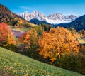 Fantastic view of Santa Maddalena village hills in front of the Geisler or Odle Dolomites Group. Colorful autumn scene of Dolomite Royalty Free Stock Photo