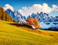Fantastic view of Santa Maddalena village hills in front of the Geisler or Odle Dolomites Group. Colorful autumn scene of Dolomite Royalty Free Stock Photo