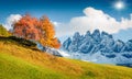 Fantastic view of Santa Maddalena village hills in front of the Geisler or Odle Dolomites Group. Colorful autumn scene of Dolomite Royalty Free Stock Photo