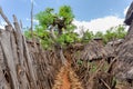 Fantastic walled village tribes Konso, Ethiopia