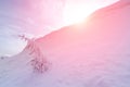 Fantastic winter landscape. Beautiful winter. Royalty Free Stock Photo