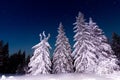 Fantastic winter landscape. Carpathian Ukraine Europe. Beauty world Royalty Free Stock Photo