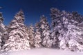 Fantastic winter landscape. Carpathian Ukraine Europe. Beauty world Royalty Free Stock Photo