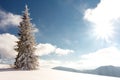 Fantastic winter landscape. Carpathian, Ukraine, Europe. Beauty world Royalty Free Stock Photo