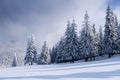 Fantastic winter landscape