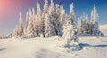 Fantastic winter landscape in the mountains of Ukraine. In antic