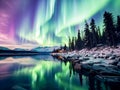 Fantastic winter landscape with Northern Lights