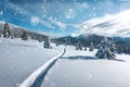 Fantastic Winter Landscape