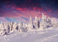 Fantastic winter lanscape in mountains