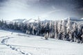 Fantastic winter meteor shower and the snow-capped mountains. Carpathians. Ukraine, Europe Royalty Free Stock Photo