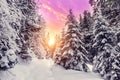 Fantastic winter mountain landscape. overcast colorful clouds, glowing in sunlight. alp trees, of snow covered , under in a warm Royalty Free Stock Photo