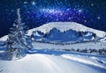Fantastic winter starlight night Royalty Free Stock Photo