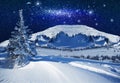 Fantastic winter starlight night Royalty Free Stock Photo