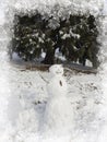 Fantastic Winter wonderland,snowman Royalty Free Stock Photo