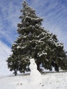 Fantastic Winter wonderland , snowman Royalty Free Stock Photo