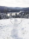 Fantastic Winter wonderland, snowman Royalty Free Stock Photo