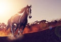 Fantastical unicorn. Shot of a beautiful unicorn running through a fantasy landscape. Royalty Free Stock Photo