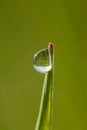 Fantastically beautiful Dewdrop on the green grass close-up. Macro Royalty Free Stock Photo