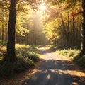 Fantastically beautiful forest in summer with large trees and autumn leaves in the light of the sun made with