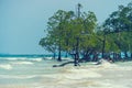 Fantastically beautiful tropical landscape Royalty Free Stock Photo