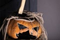 Fantastically good fun. all saints day known as halloween. halloween pumpkin cut for celebration of all saints day