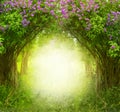 . Magic forest.Beautiful spring  landscape.Lilac trees in blossom Royalty Free Stock Photo