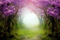 Fantasy background. Magic forest.Beautiful spring landscape.Lilac trees in blossom, Royalty Free Stock Photo