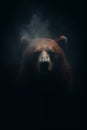 Fantasy bear - bear deity - bear god - dark background