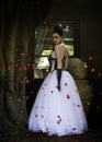 Fantasy bride surrounded by red rose petals Royalty Free Stock Photo