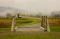 A fantasy bridge with flower and fog in the background.