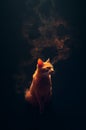 Fantasy brown cat - cat deity - cat god - dark background