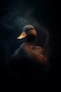 Fantasy brown duck - duck deity - duck god - dark background