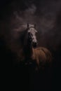 Fantasy brown horse - horse deity - horse god - dark background