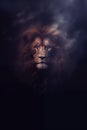 Fantasy brown lion - lion deity - lion god - dark background