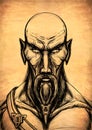 Fantasy character close up, face, brutal man, with bald head, a long, thick beard Royalty Free Stock Photo