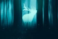 A fantasy concept. Of a glowing spirit deer appearing out of the mist in a forest. With a blurred, fairytale edit