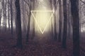 A fantasy concept of a glowing triangle portal in a forest. On a misty spooky winters evening