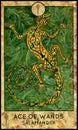 Salamander. Ace of wands