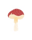 Fantasy cute poster with colorful mushroom on white background. Natural background. Magic mushroom illustration vector