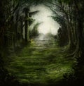 Fantasy dark deep grim forest